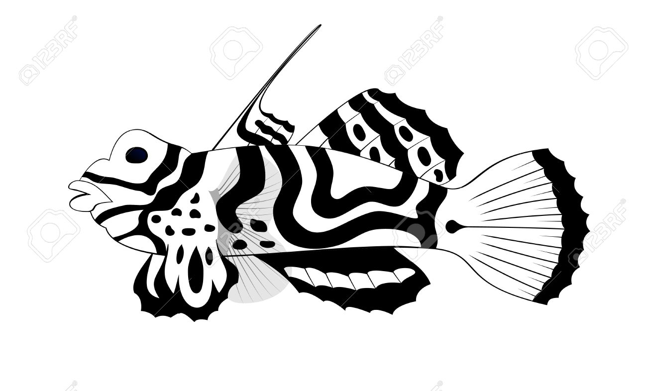 1300x786 Fish Tribal Tattoo, Black Pattern Silhouette Sketch Tatoo Stock