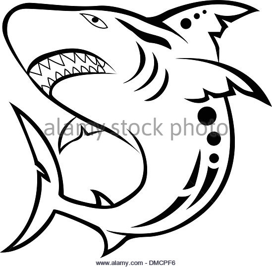 549x540 Shark Tribal Tattoo Stock Photos Amp Shark Tribal Tattoo Stock