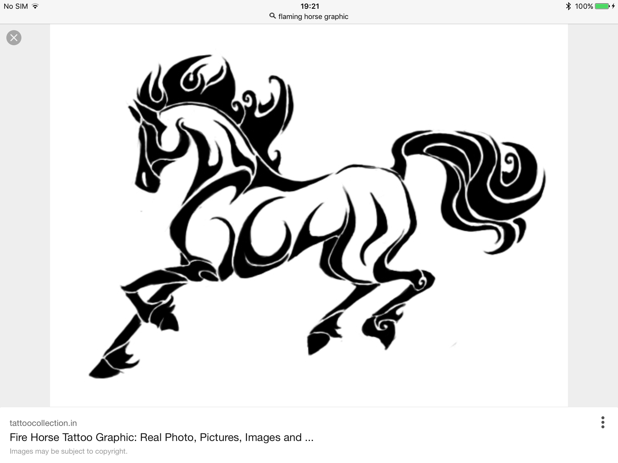 2048x1536 Pin By Natalie Mudd On Borders Animal Drawings And Draw