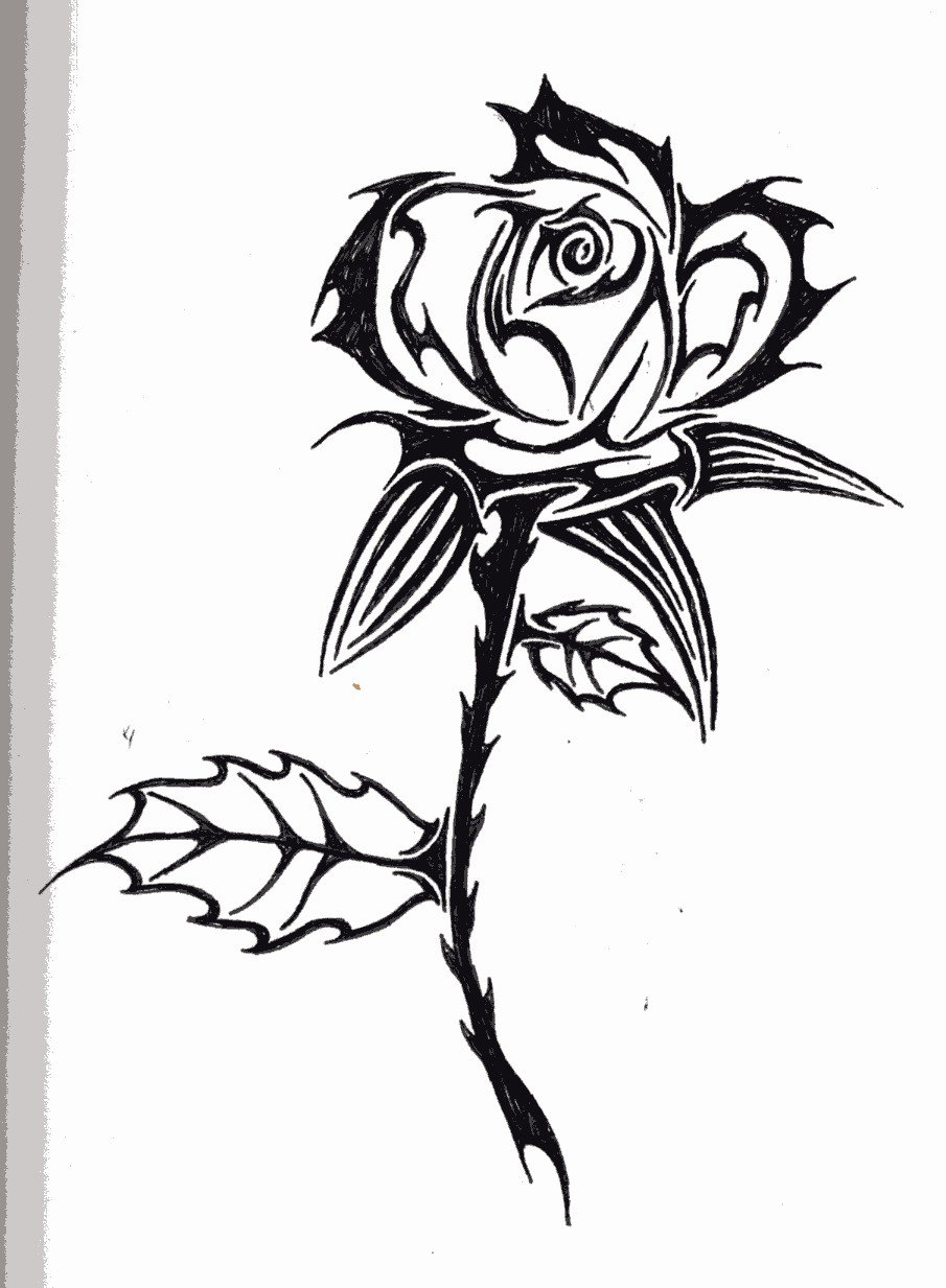 905x1233 Tribal Rose By Aeden