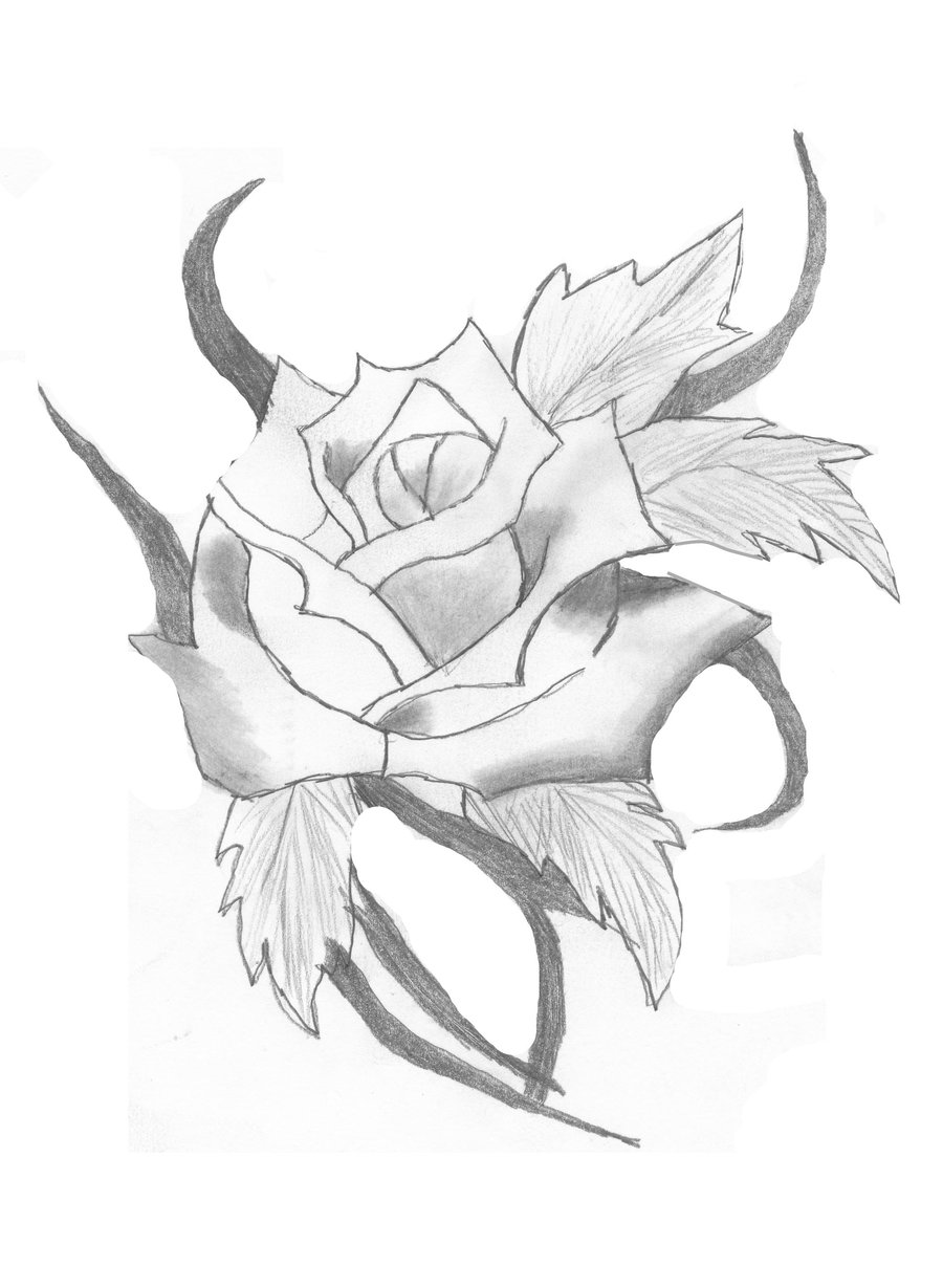 900x1229 Rose Tribal By Jessiex5