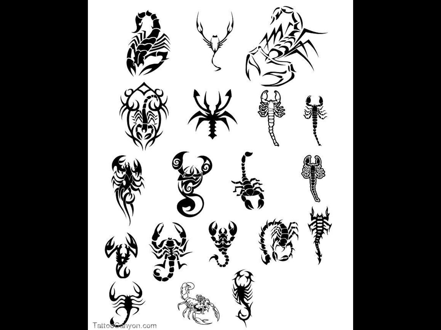 1440x1080 Scorpion Tattoo Drawings Tribal Scorpion Tattoo Designs Chainimage