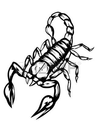 321x450 Scorpion Clipart Tribal