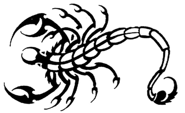 602x370 Tribal Scorpion