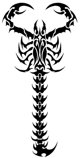 305x600 Tribal Scorpion Tattoos High Quality Photos And Flash Designs