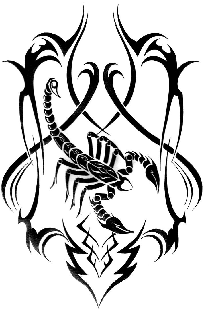 740x1080 Tribal Scorpion By Lucky Louie