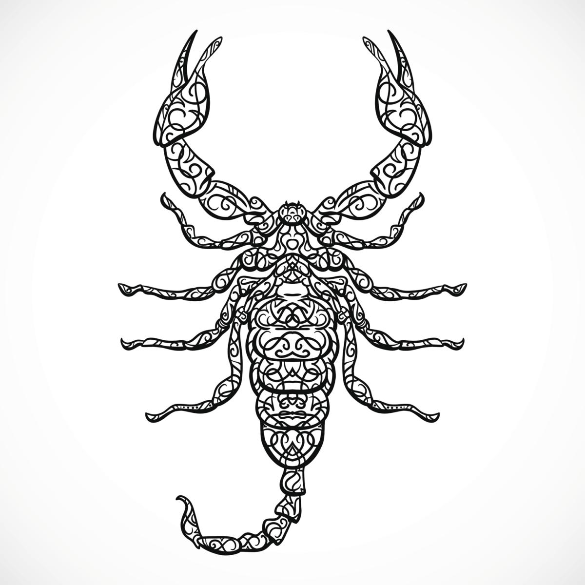 1200x1200 Majestic Tribal Scorpion Tattoos That Will Make Heads Turn