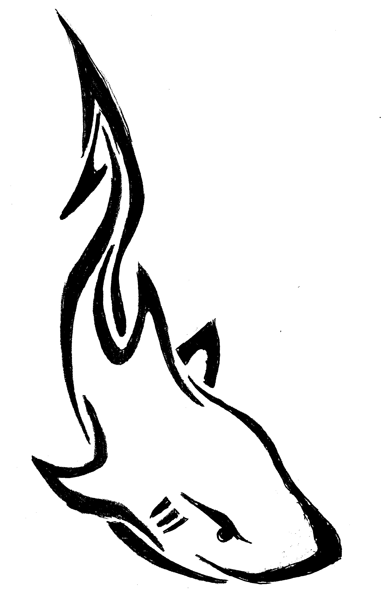 1594x2515 Tribal Shark Drawing
