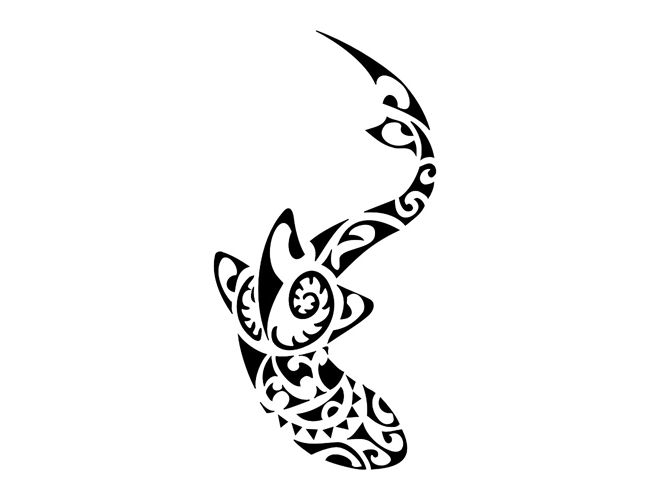 650x500 Tribal Shark Tattoo Found On Google Images Tattoos