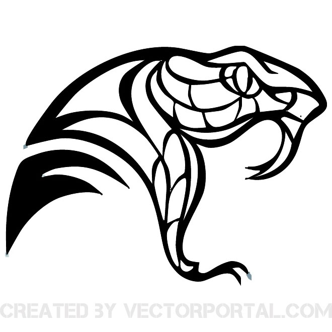 660x660 Free Reptile Vectors 55 Downloads Found