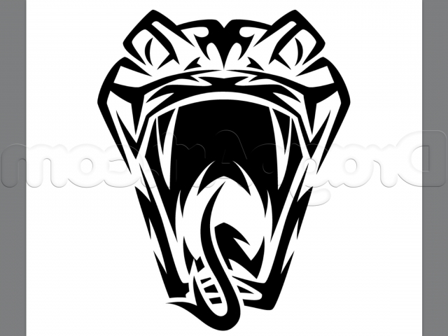 640x480 Looking Simple How To Draw Tribal Snake Tattoo, Stepstep, Tattoos