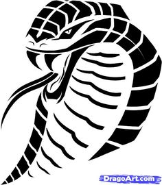 236x270 Snake Design