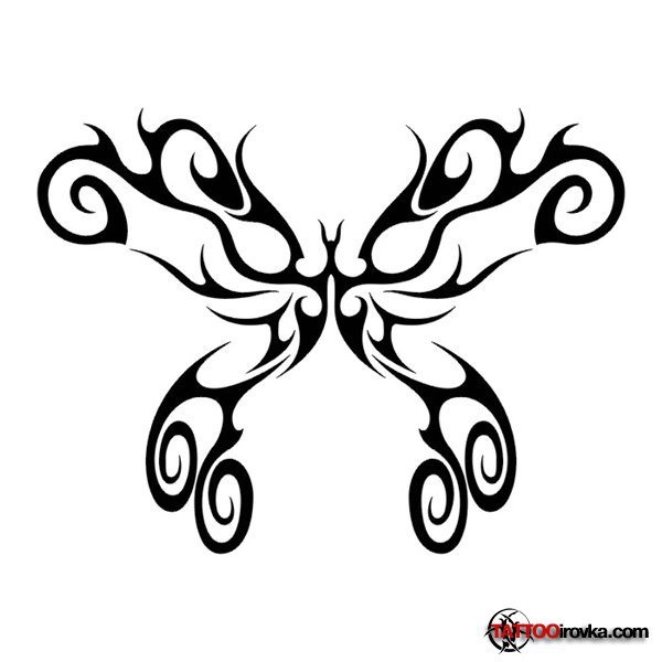 600x600 Stunning Butterfly Tribal Tattoo Sketch