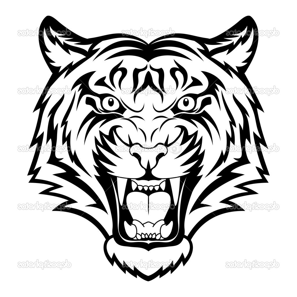 1024x1024 Photos Tiger Head Drawing,
