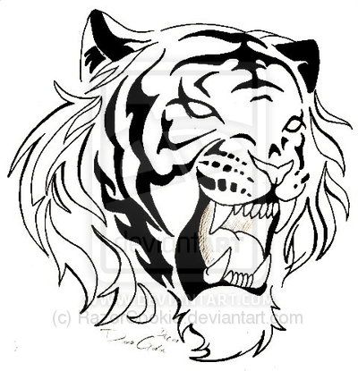 400x415 30 Best Tribal Tiger Tattoo Drawings Images On Tribal