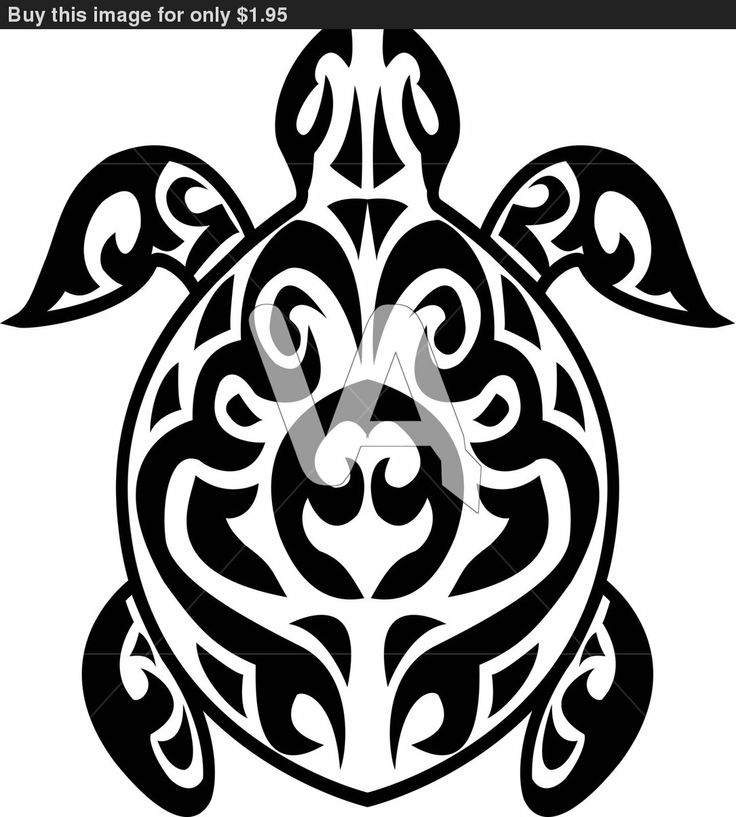 736x817 Neat Tats On Celtic Tattoos, Turtle Tattoos And Tribal