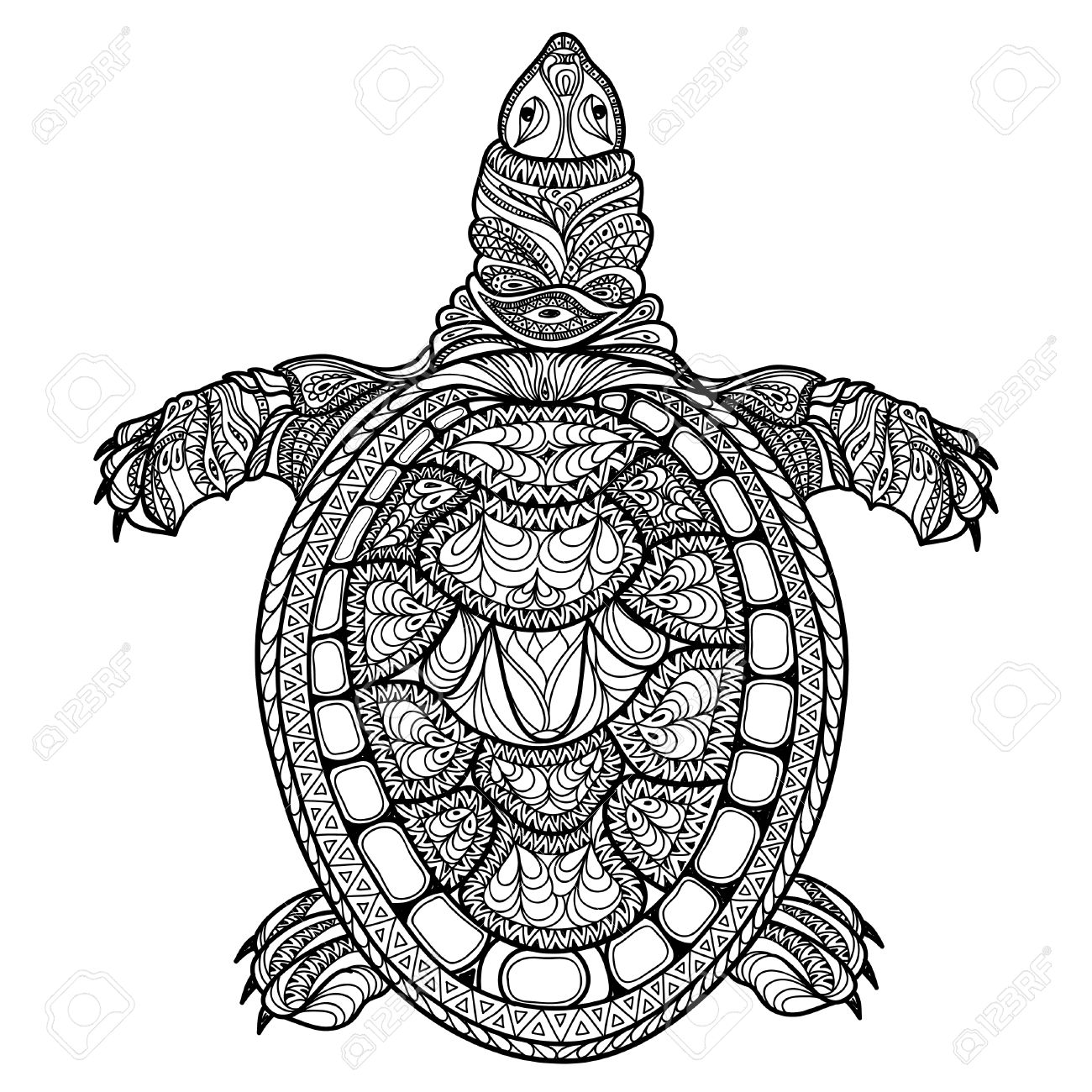 1300x1300 Turtle Isolated. Zentangle Tribal Stylized Turtle. Doodle Vector