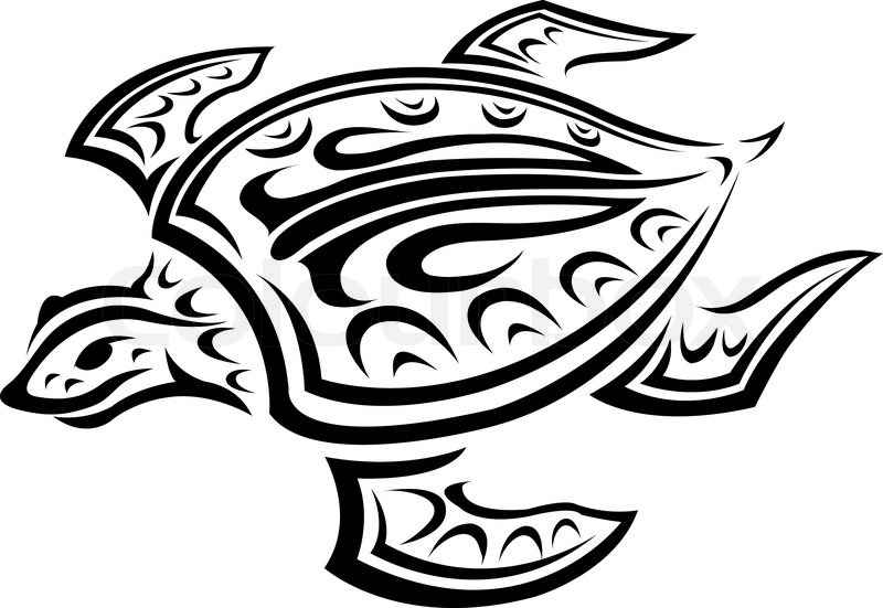 800x551 Underwater Turtle Stock Vector Colourbox