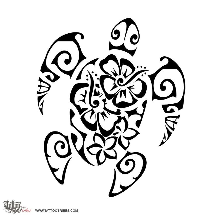 736x736 Drawn Turtle Flower