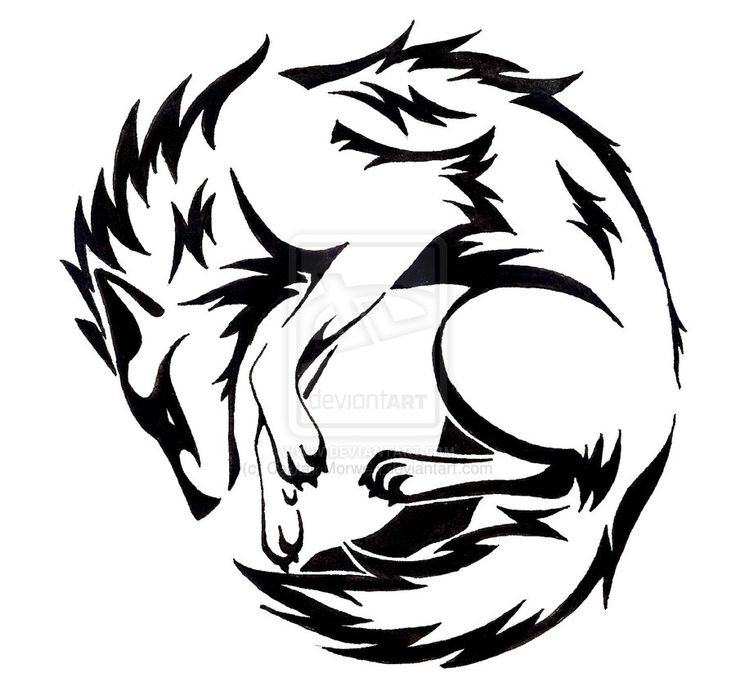 736x695 Collection Of Tribal Wolf Tattoo Design
