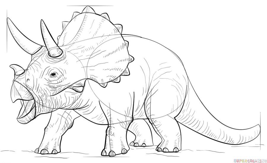 900x551 How To Draw A Triceratops Step By Step Drawing Tutorials