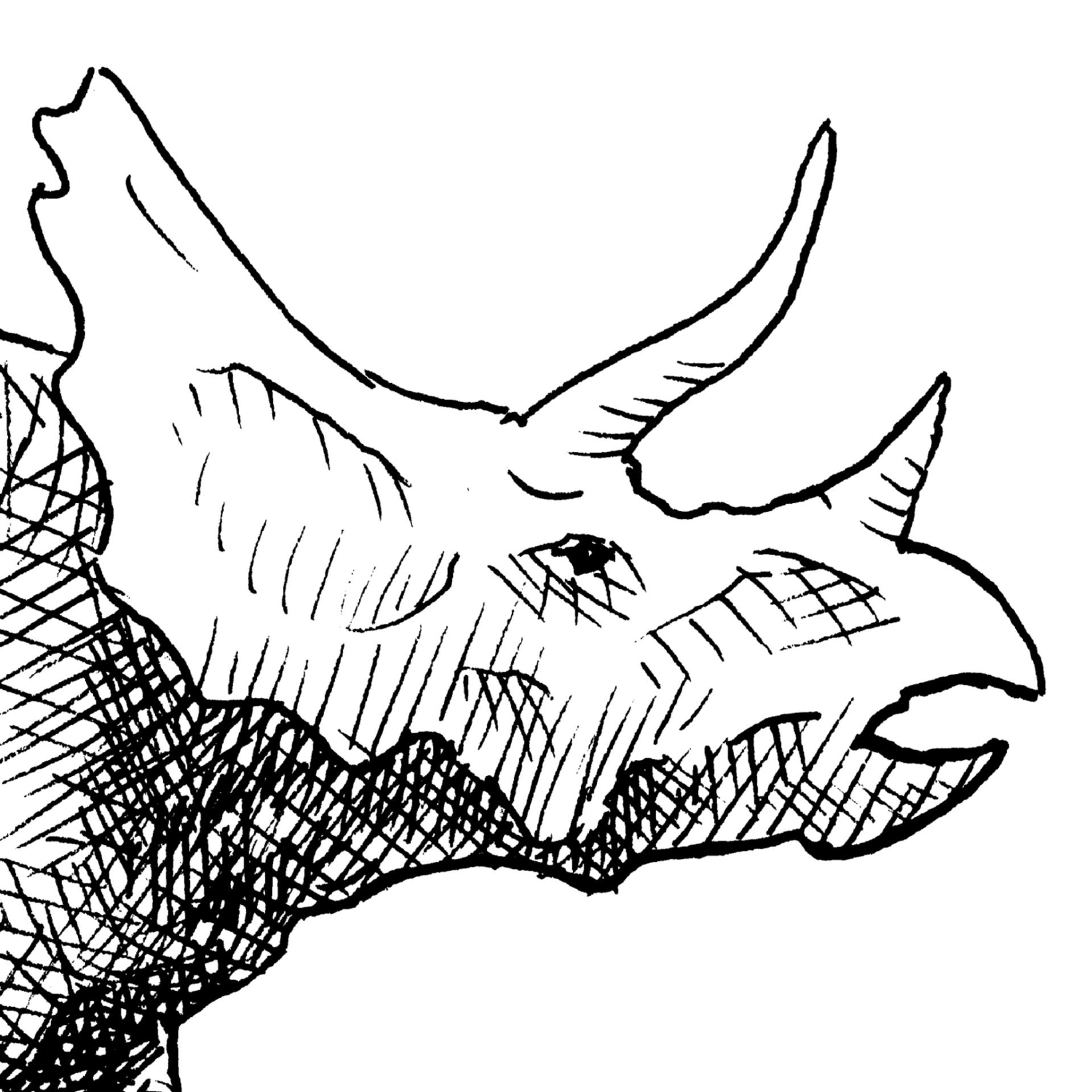 1920x1920 Saatchi Art Cera The Triceratops