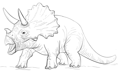480x294 Triceratop Dinosaur Coloring Page Free Printable Coloring Pages