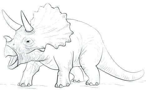 468x305 Triceratops Coloring Page Dinosaur Printable Triceratops Coloring