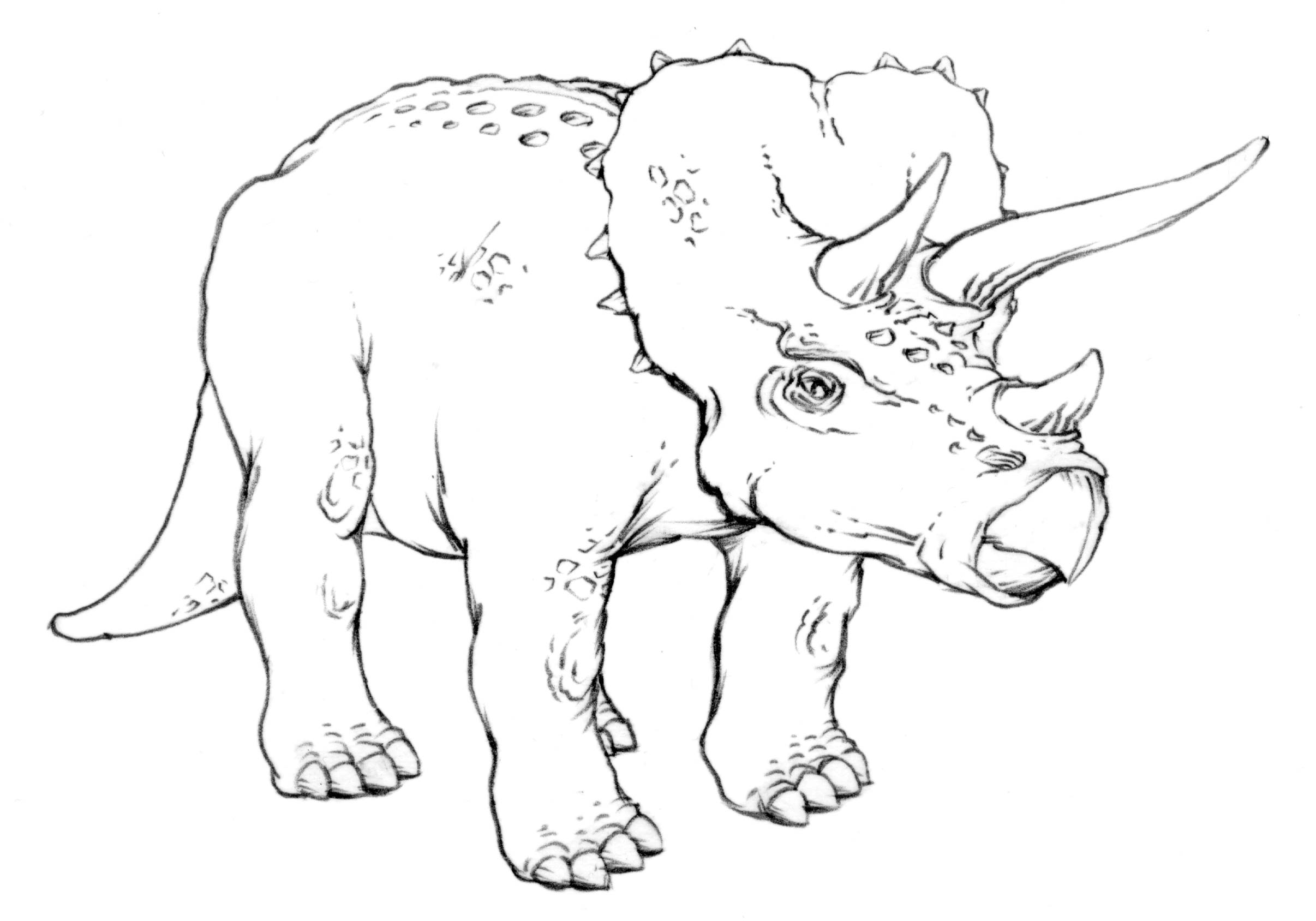 2412x1688 Drawing Lesson Triceratops The Scribbles Institute
