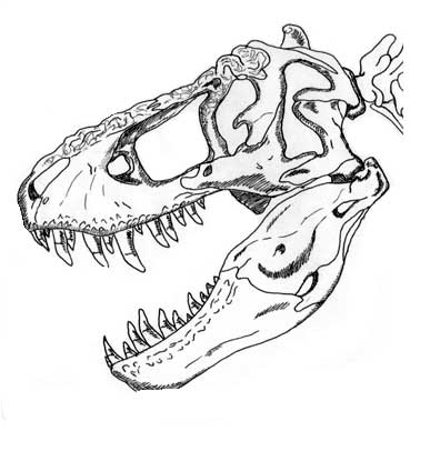 396x406 The Dinosaur Studio