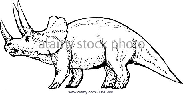 640x334 Triceratops Black And White Stock Photos Amp Images