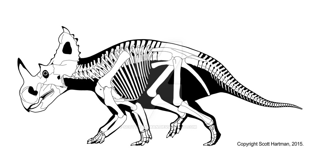 1024x522 Centrosaurus Apertus By Scotthartman Paleontology