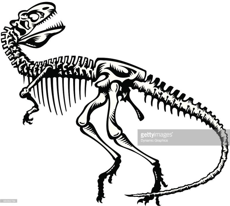 800x716 Dinosaur Skeleton Clipart
