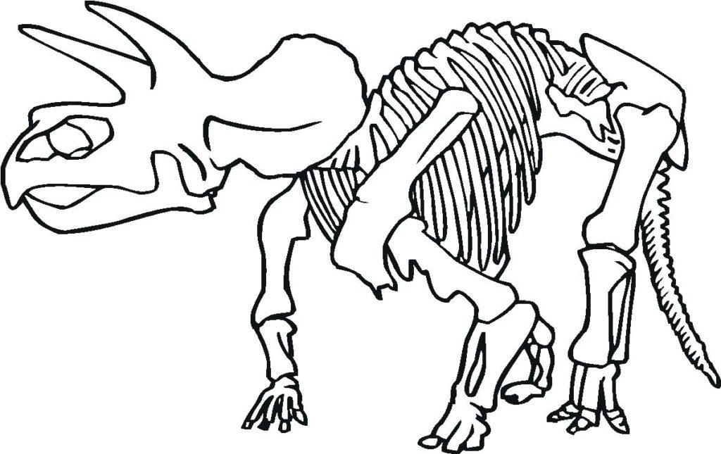 1024x645 Coloring Fascinating Skeleton Sheet Dinosaur Fossils At Page