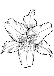 210x298 Relive Your Childhood! Free Printable Coloring Pages For Adults