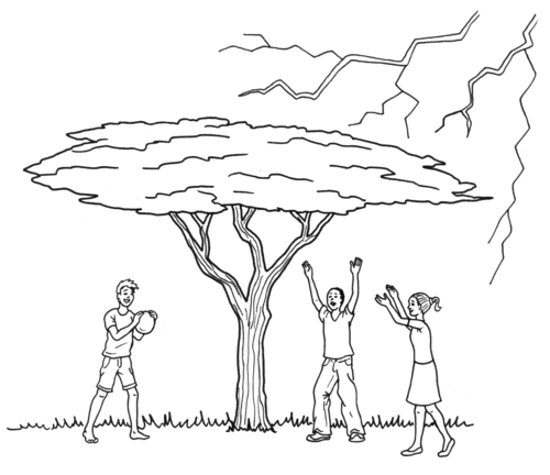 500x432 Natural Sciences Grade 9