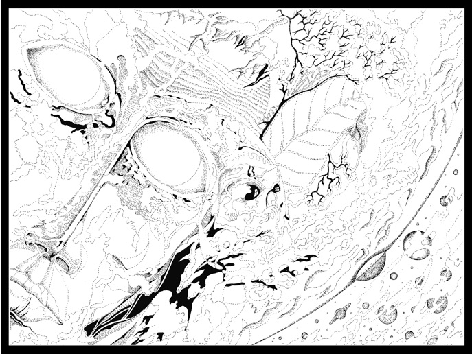 687x516 Early Drawings