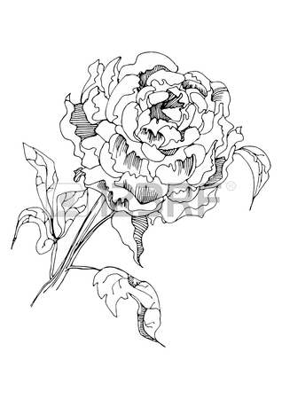 318x450 Tripped Stock Photos Amp Pictures. Royalty Free Tripped Images