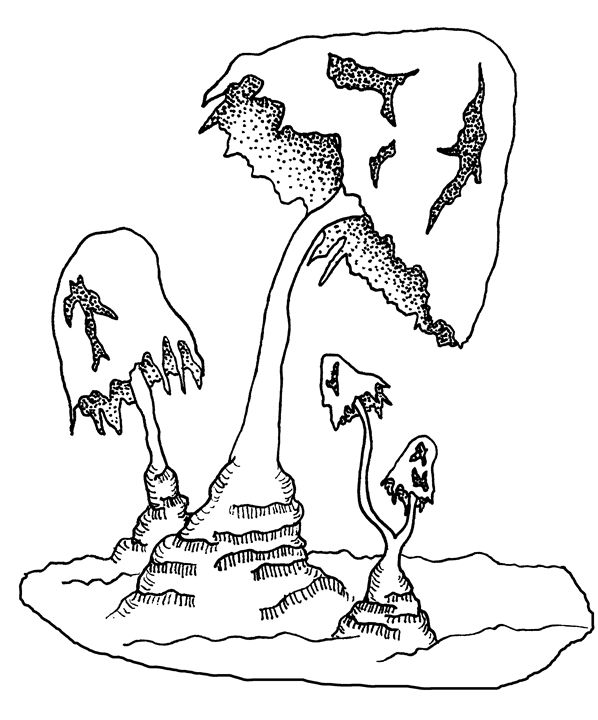 598x720 Trippy Shrooms