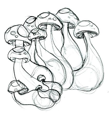 432x441 Drawn Mushroom Drug Many Interesting Cliparts