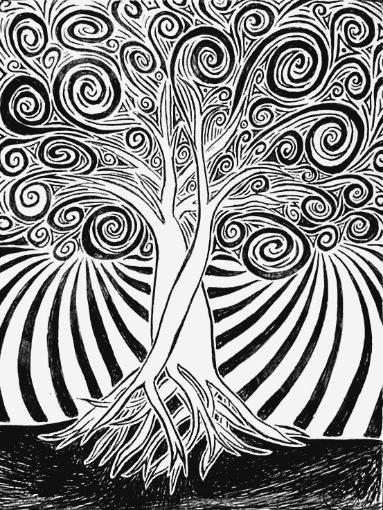 553x736 Spiral Tree Art Spiral And Zentangles