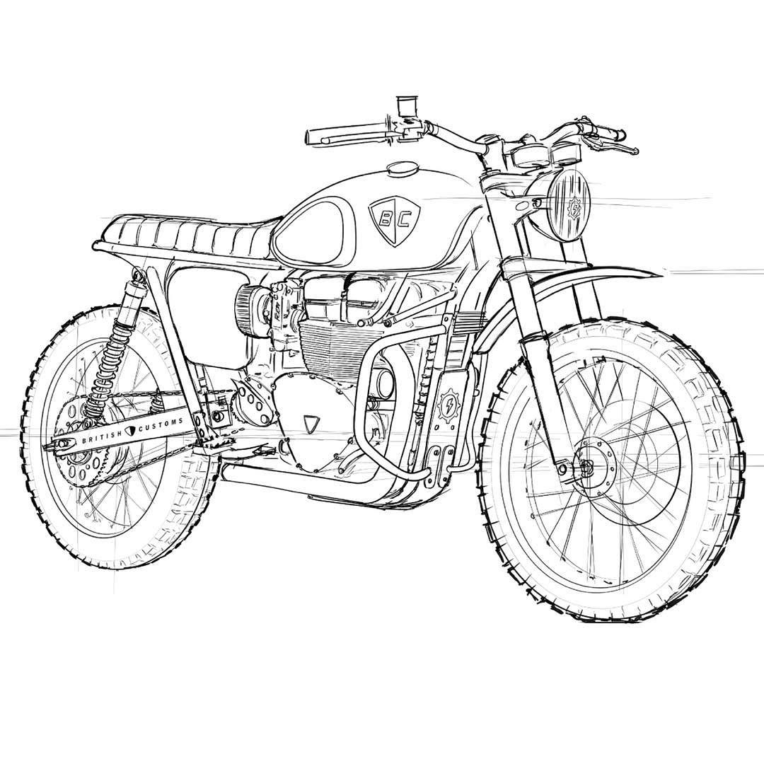 1080x1080 Pin By Sandra Dupuis Taylor On Drawinng Triumph