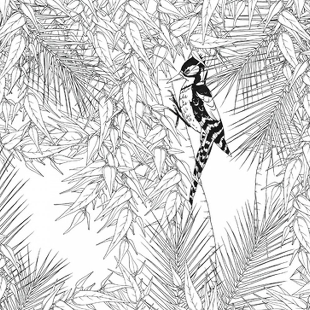 1000x1000 Colouring Book Of Tropical Birds And Forests