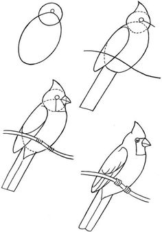 236x338 How To Draw Birds Drawing Bird, Sketches And Draw