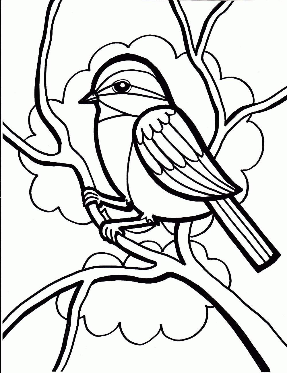 1000x1301 Pretty Bird Coloring Pages Tropical Bird Coloring Pages