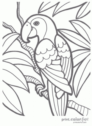 309x425 Tropical Parrot Coloring Page