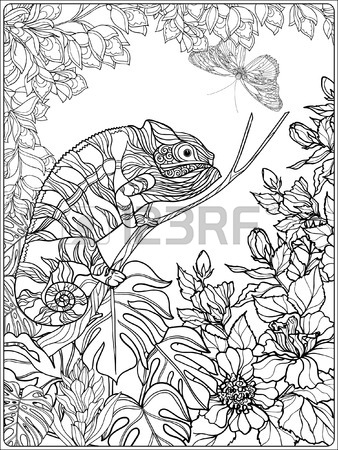 338x450 Tropical Wild Birds And Plants. Tropical Garden Collection