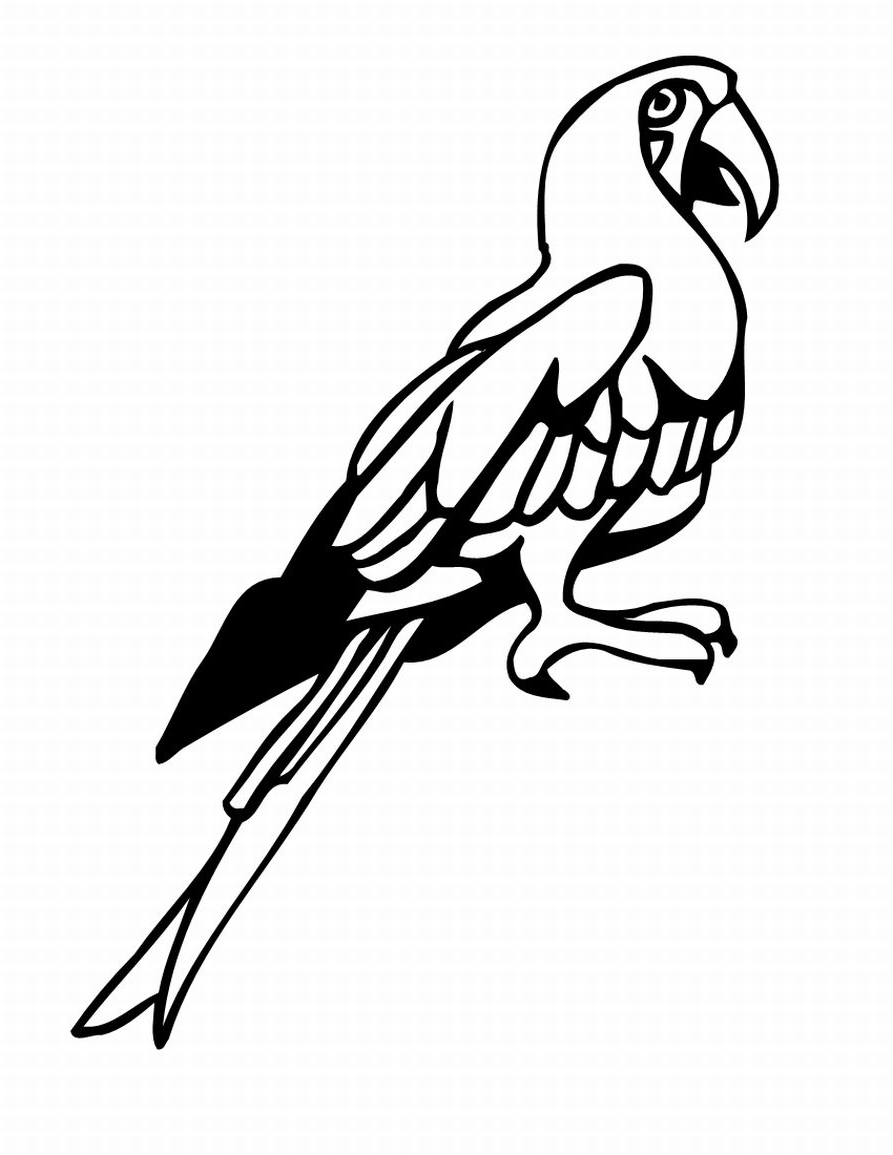 893x1155 Birds Coloring Pages