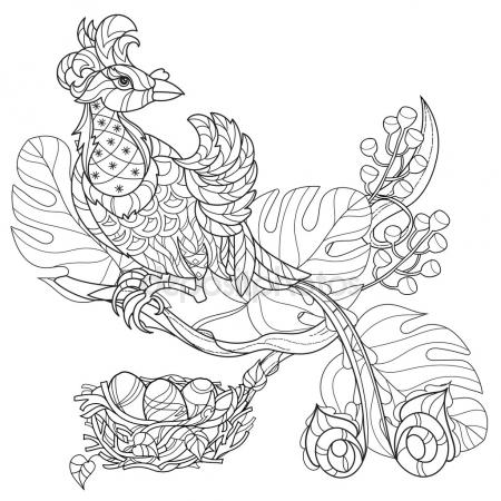 450x450 Colorful Hand Drawn African Animals And Birds. Doodle Drawings