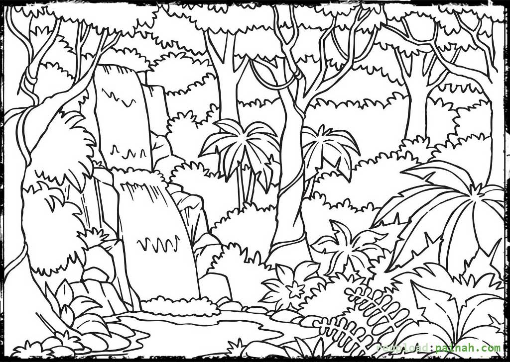 1024x728 Amazon Rainforest Coloring Pages Tropical Colori On Charming
